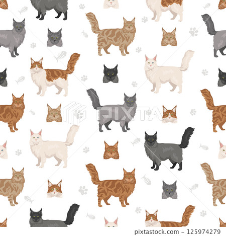Maine Coon Cat seamless pattern. All coat colors set. All cat breeds characteristics infographic Maine Coon Cat seamless pattern. All coat colors set. All cat breeds characteristics infographic 125974279