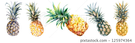 Set of fresh tropical fruit, Pineapple in watercolor style isolated on a transparent background. 125974364