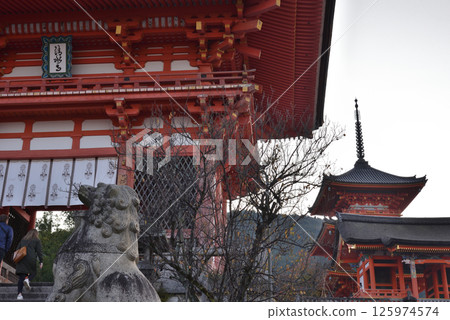 Kiyomizu-dera Temple in the morning: Niomon Gate, West Gate and Three-story Pagoda [Important Cultural Property] 125974574
