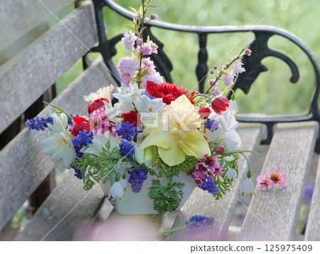 Daffodil arrangement on a bench 125975409