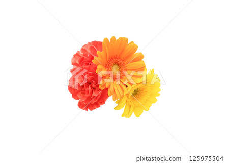 白色背景上的康乃馨和非洲菊花束 125975504