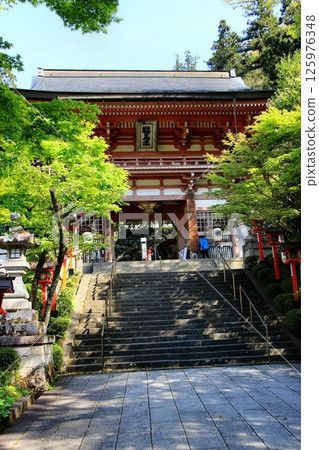 Cosmic energy pours down to protect the capital of Kyoto from evil spirits... Kurama Temple's "Niomon" 125976348