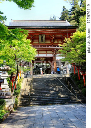 Cosmic energy pours down to protect the capital of Kyoto from evil spirits... Kurama Temple's "Niomon" 125976349