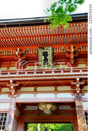 Cosmic energy pours down to protect the capital of Kyoto from evil spirits... Kurama Temple's "Niomon" 125976350
