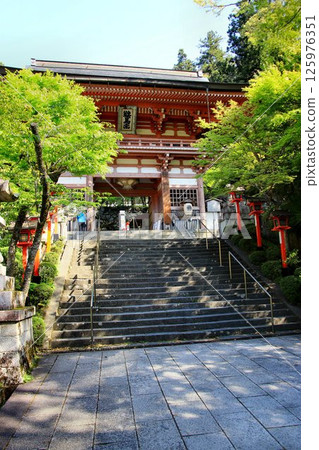 宇宙能量傾瀉而下，守護京都免受惡靈侵擾…鞍馬寺的“仁王門” 125976351