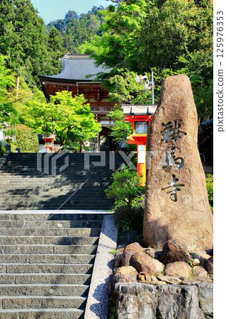 Cosmic energy pours down to protect the capital of Kyoto from evil spirits... Kurama Temple's "Niomon" 125976353