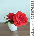 Indoor mini roses 125976823