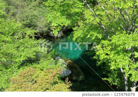 新綠點綴瀨戶川(高知縣土佐町瀨戶川溪谷) 新綠點綴瀨戶川(高知縣土佐町瀨戶川溪谷) 125976879