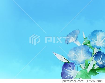 牽牛花在藍天的襯托下 125976905