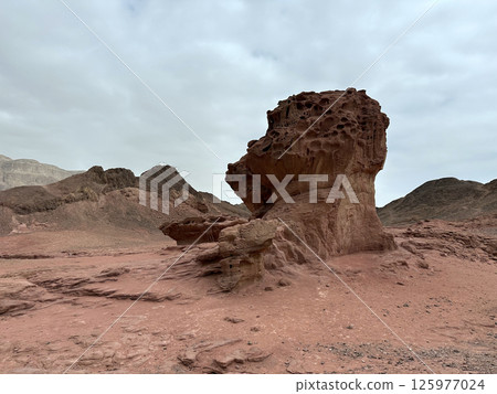 Stone mushroom in Timna Park in the Arava desert 125977024