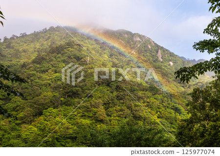 A beautiful rainbow at Shiratani Unsuikyo Gorge, Yakushima (May) A beautiful rainbow at Shiratani Unsuikyo Gorge, Yakushima (May) 125977074
