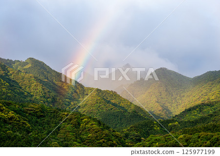 屋久島近海阿爾卑斯山的美麗彩虹（六月） 125977199