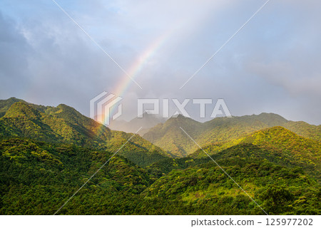 屋久島近海阿爾卑斯山的美麗彩虹（六月） 125977202