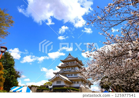 Spring scenery of Chiba Castle and cherry blossoms at Inohana Park Spring scenery of Chiba Castle and cherry blossoms at Inohana Park 125977541