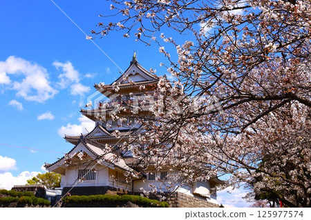 千葉城與櫻花的春天景色（豬之花公園） 125977574