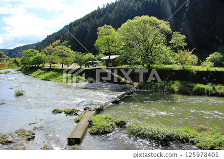 Clear stream flowing through the fresh green 125978401