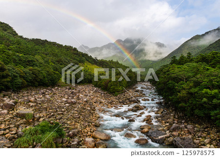 A beautiful rainbow over the Yakushima Offshore Alps (July) A beautiful rainbow over the Yakushima Offshore Alps (July) 125978575