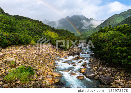屋久島近海阿爾卑斯山的美麗彩虹(7月) 屋久島近海阿爾卑斯山的美麗彩虹(7月) 125978578