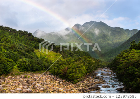 屋久島近海阿爾卑斯山的美麗彩虹（7月） 125978583