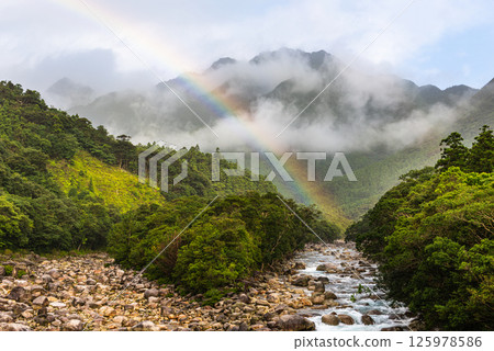 A beautiful rainbow over the Yakushima Offshore Alps (July) 125978586