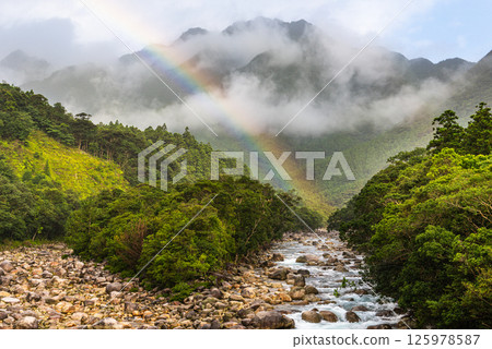 A beautiful rainbow over the Yakushima Offshore Alps (July) A beautiful rainbow over the Yakushima Offshore Alps (July) 125978587