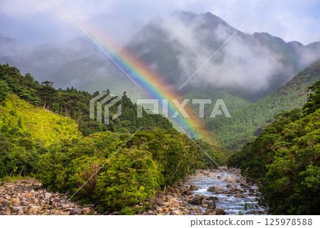 A beautiful rainbow over the Yakushima Offshore Alps (July) 125978588