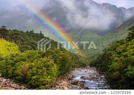 A beautiful rainbow over the Yakushima Offshore Alps (July) A beautiful rainbow over the Yakushima Offshore Alps (July) 125978589