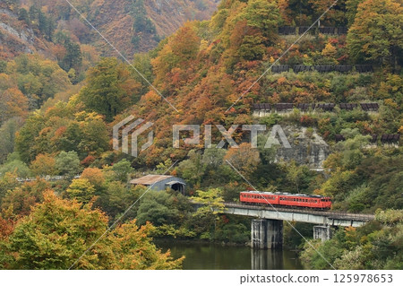 秋葉Tadami線 秋葉Tadami線 125978653