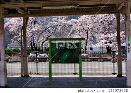Cherry blossoms bloom at the foot of Usui Pass... A historic mountain pass station that supported the rugged railway [Shinetsu Line, Yokokawa] 125978668