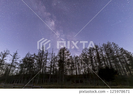 銀河從高山高原的落葉松樹上升起 銀河從高山高原的落葉松樹上升起 125978671