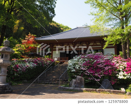 大阪久遠寺(春季) 大阪久遠寺(春季) 125978800