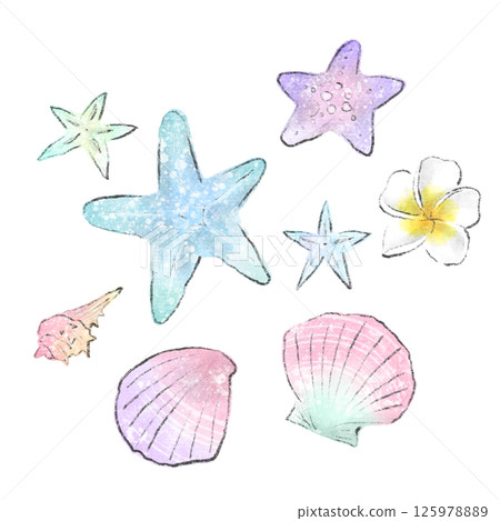 彩色貝殼、海星和雞蛋花夏季圖像水彩插圖集 彩色貝殼、海星和雞蛋花夏季圖像水彩插圖集 125978889