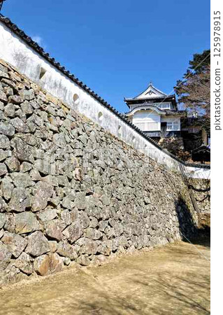 Binaka Matsuyama Castle Tenshi Binaka Matsuyama Castle Tenshi 125978915