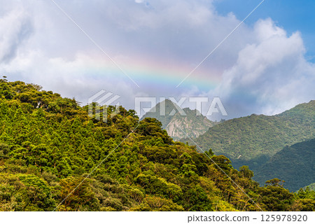 屋久島近海阿爾卑斯山的美麗彩虹(8月) 屋久島近海阿爾卑斯山的美麗彩虹(8月) 125978920