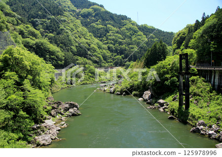 A river flowing through lush greenery 125978996