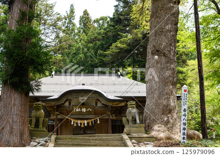 Iwasaki Hachiman Shrine, surrounded by fir and cedar trees, Yuzawa City, Akita Prefecture Iwasaki Hachiman Shrine, surrounded by fir and cedar trees, Yuzawa City, Akita Prefecture 125979096