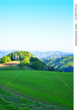 A refreshing view from a lush green hill in Minano Town, Chichibu District 125979317