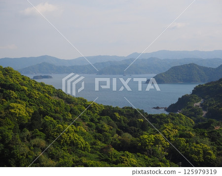 山與海的照片 125979319