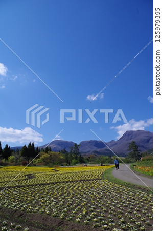 九重花卉公園 - 四季彩之丘與九重山 125979395