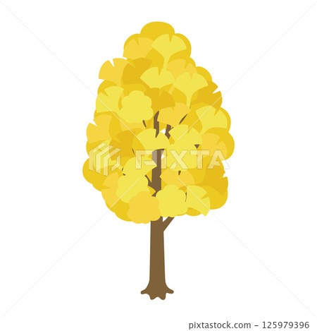 Ginkgo tree illustration (Autumn) 125979396