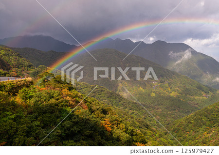 Yakushima Offshore Alps: Beautiful rainbow and autumn leaves (November) Yakushima Offshore Alps: Beautiful rainbow and autumn leaves (November) 125979427