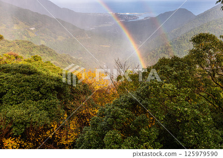 Yakushima Offshore Alps: Beautiful Rainbow (December) 125979590