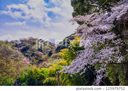 八幡山色彩繽紛的風景 八幡山色彩繽紛的風景 125979752