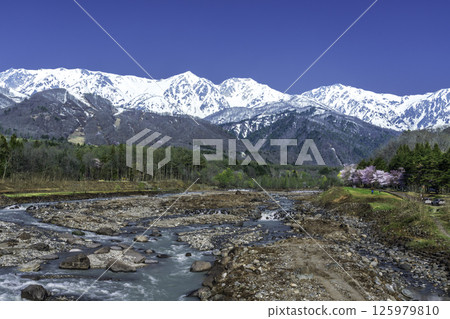 從白馬村的白馬大橋上眺望新綠和白雪皚皚的北阿爾卑斯山 125979810