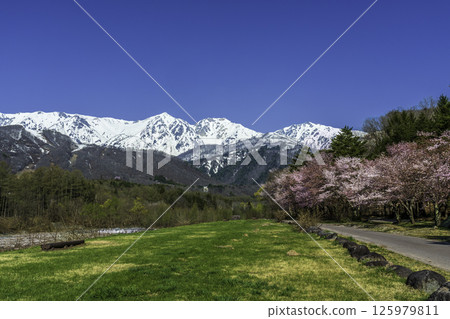從白馬村的白馬大橋上眺望新綠和白雪皚皚的北阿爾卑斯山 從白馬村的白馬大橋上眺望新綠和白雪皚皚的北阿爾卑斯山 125979811