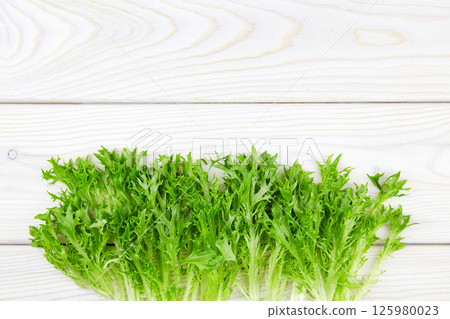 Bunch of raw organic green frisee salad on white wooden background. Close up. Top view. Bunch of raw organic green frisee salad on white wooden background. Close up. Top view. 125980023