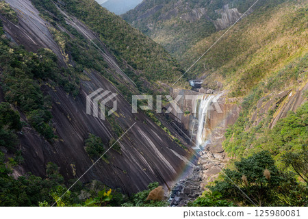 Yakushima Offshore Alps: Chihiro Falls and a Beautiful Rainbow (December) 125980081