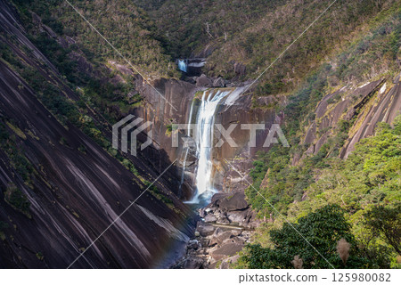 Yakushima National Park: Chihiro Falls and a beautiful rainbow (December) 125980082