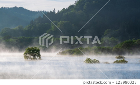 Submerged forest of Shirakawa lake 125980325