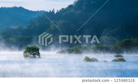 Submerged forest of Shirakawa lake 125980328